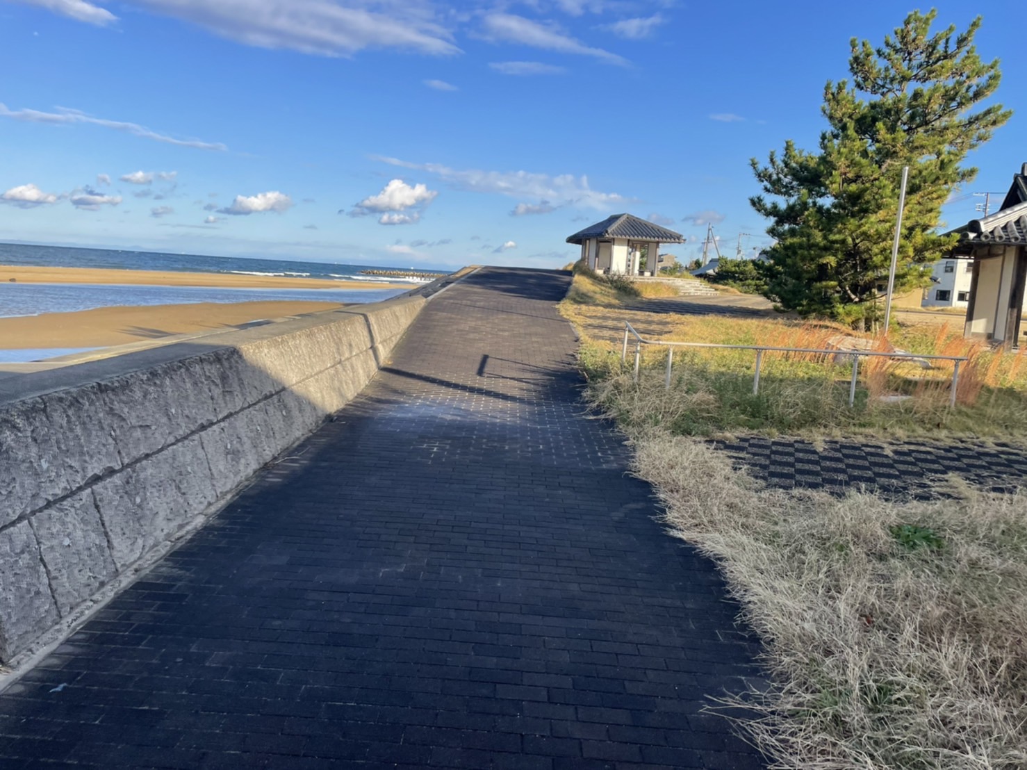 <p>住吉公園までの道路</p>
