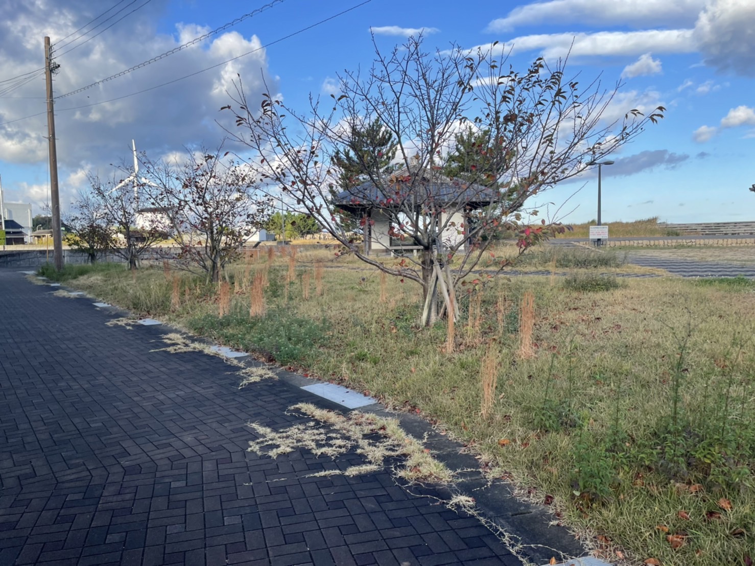 <p>住吉公園</p>
